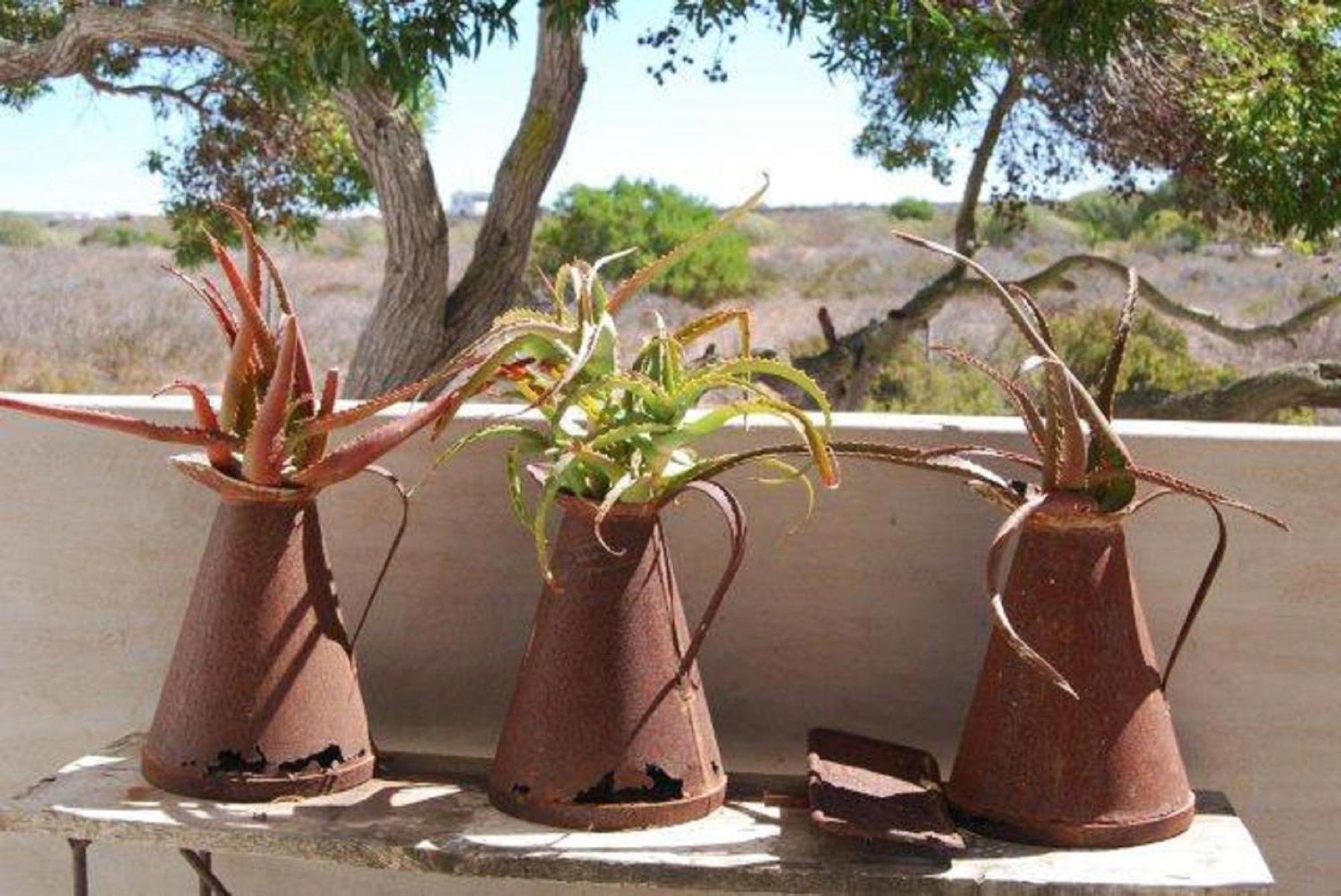 Gelukkie Hotel Paternoster Exterior foto
